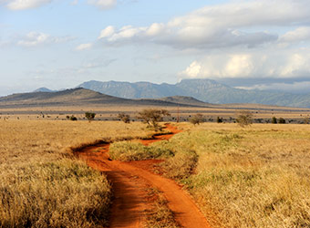 *Sur la route africaine, 28 jours