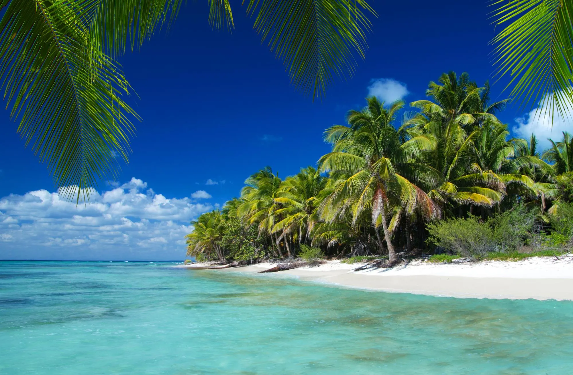 Spécial Caraïbes