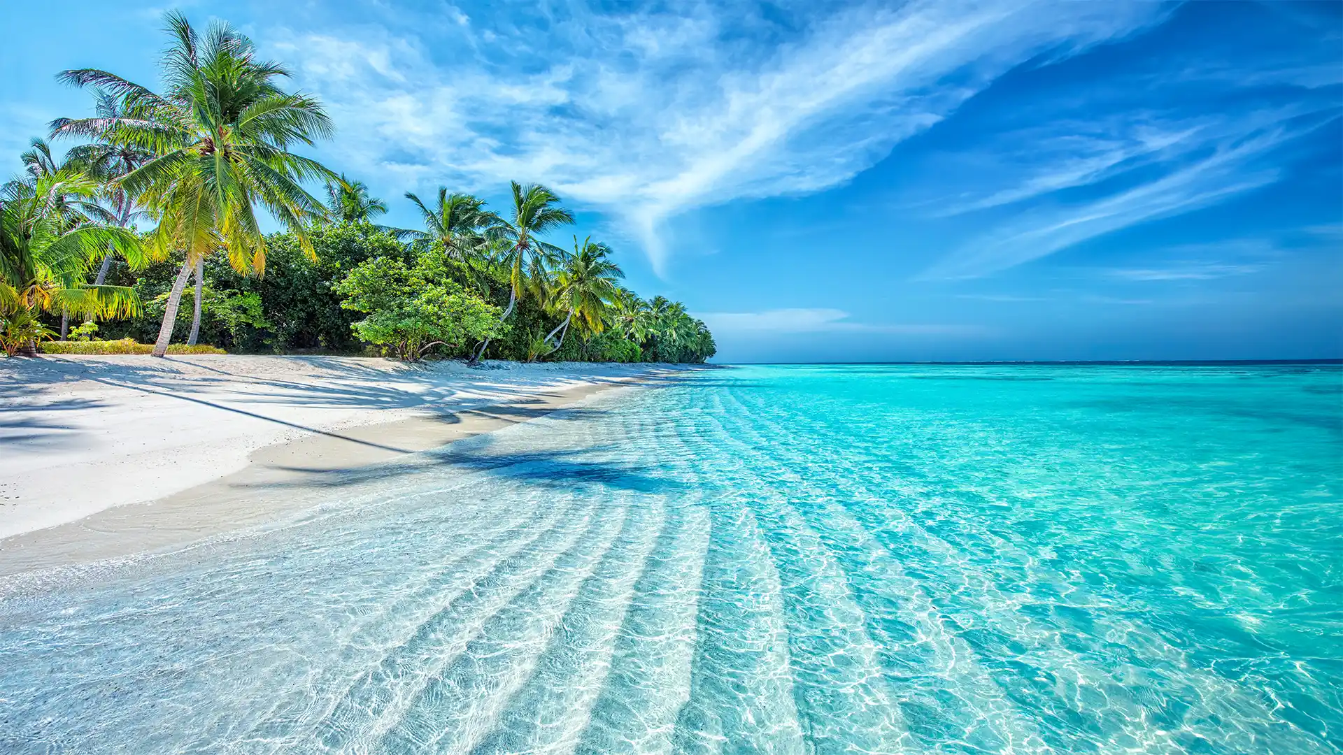 Odyssée Tropicale : laissez-vous porter par la magie du voyage