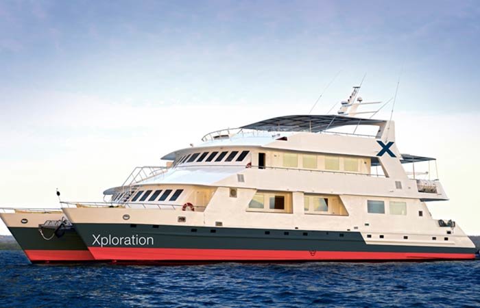 Celebrity Xploration