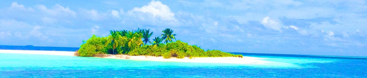 Croisières en exclusivité