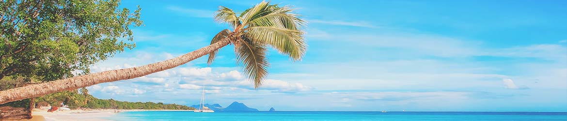 Croisières en exclusivité