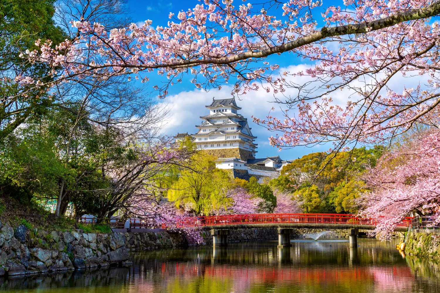 Croisiere japon