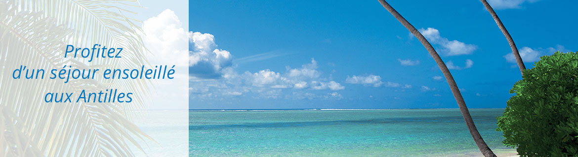 voyage bateau martinique guadeloupe