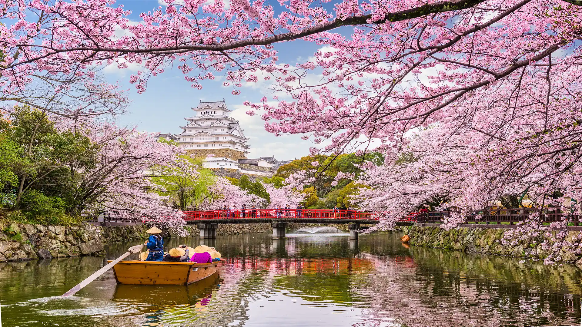 Miyazaki(Aburatsu), Japon