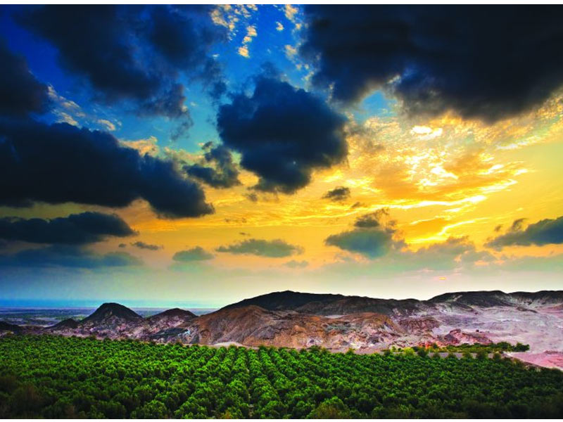 Sir Bani Yas, Emirats Arabes Unis