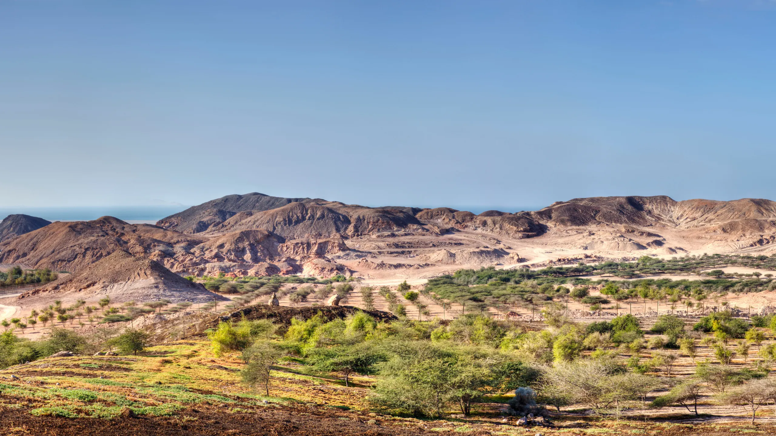 Sir Bani Yas, Emirats Arabes Unis