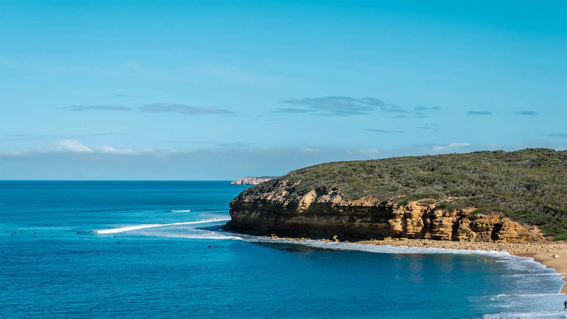 Bahia Darwin, Genovesa