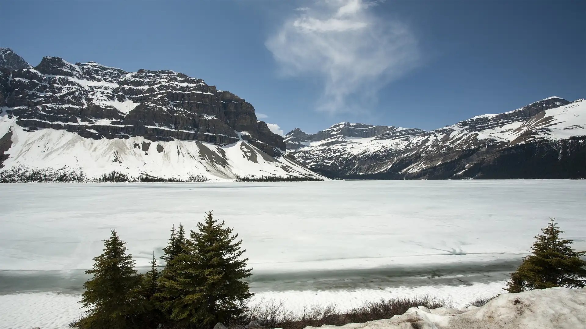 Woodfjord, Glacier de Monaco