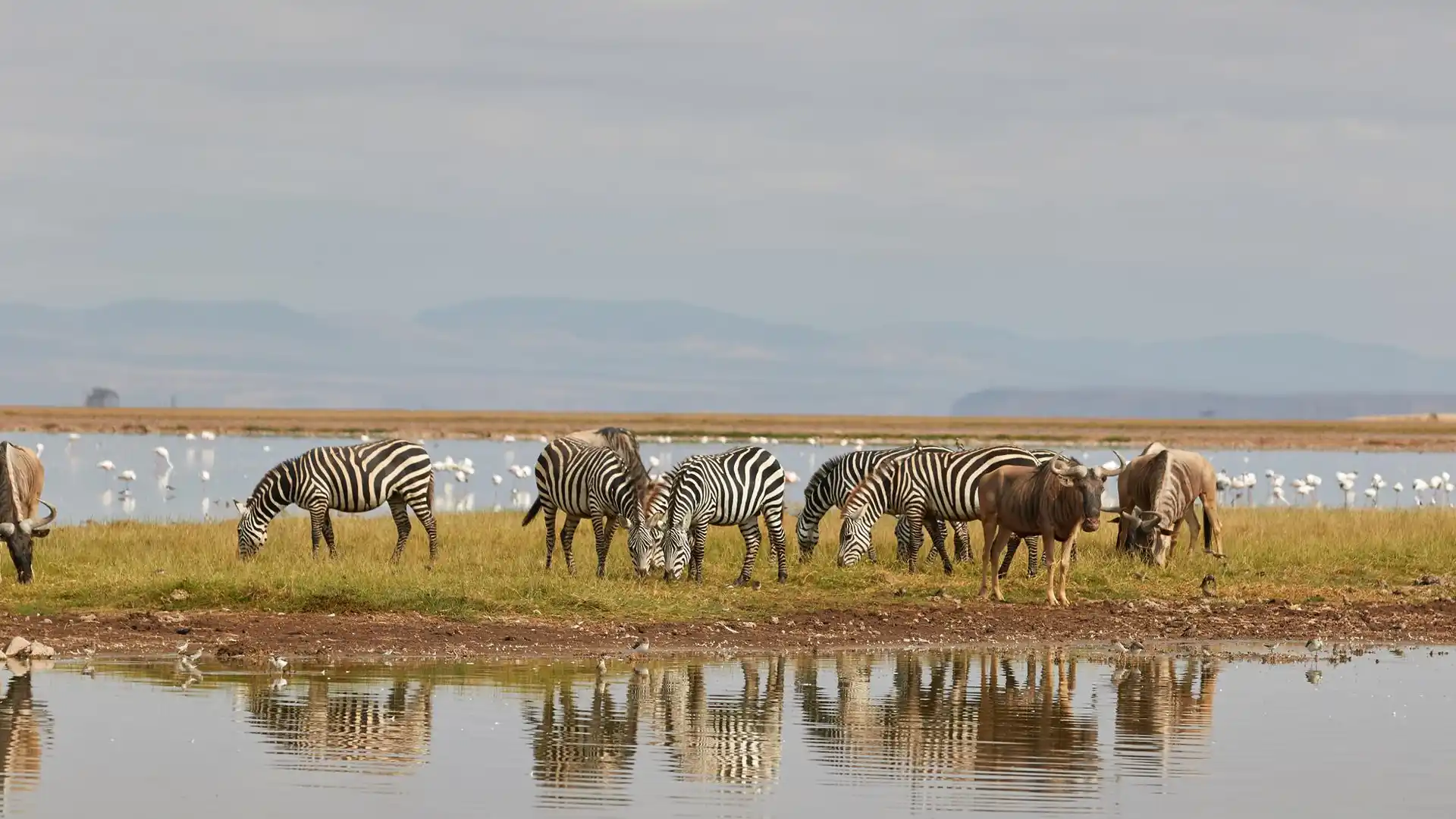 Chobe