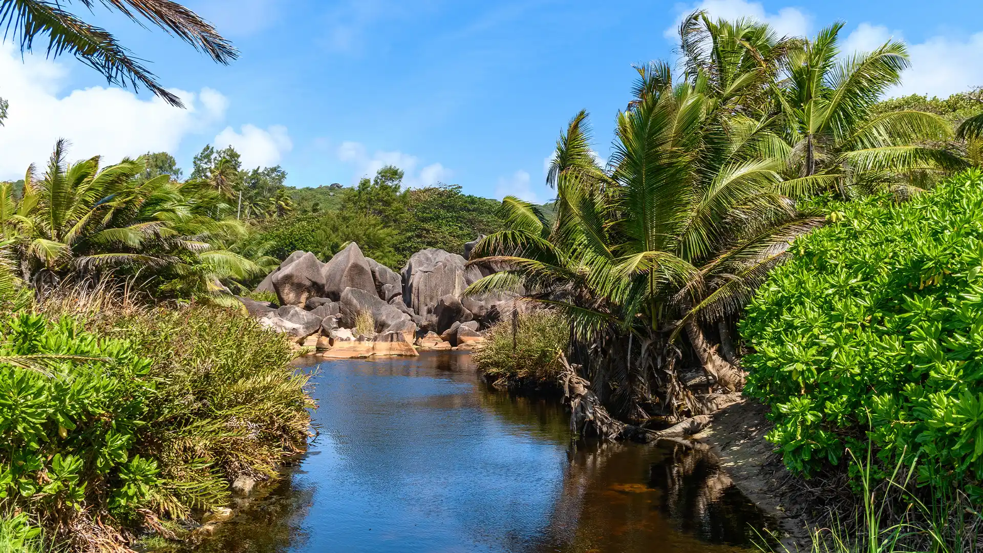 Mataiva