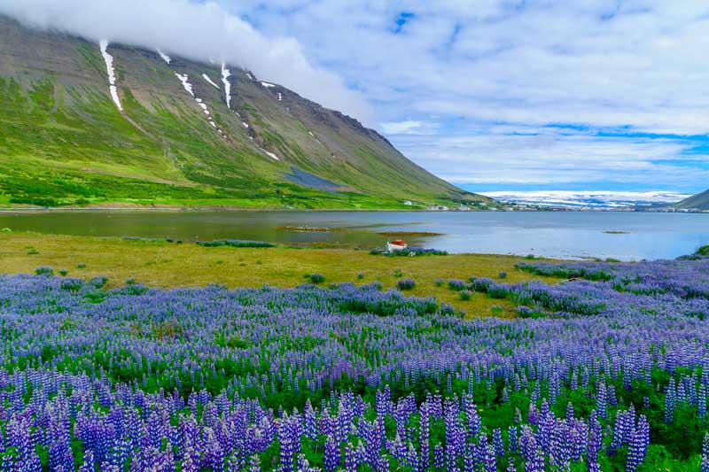 Ísafjördur, Islande