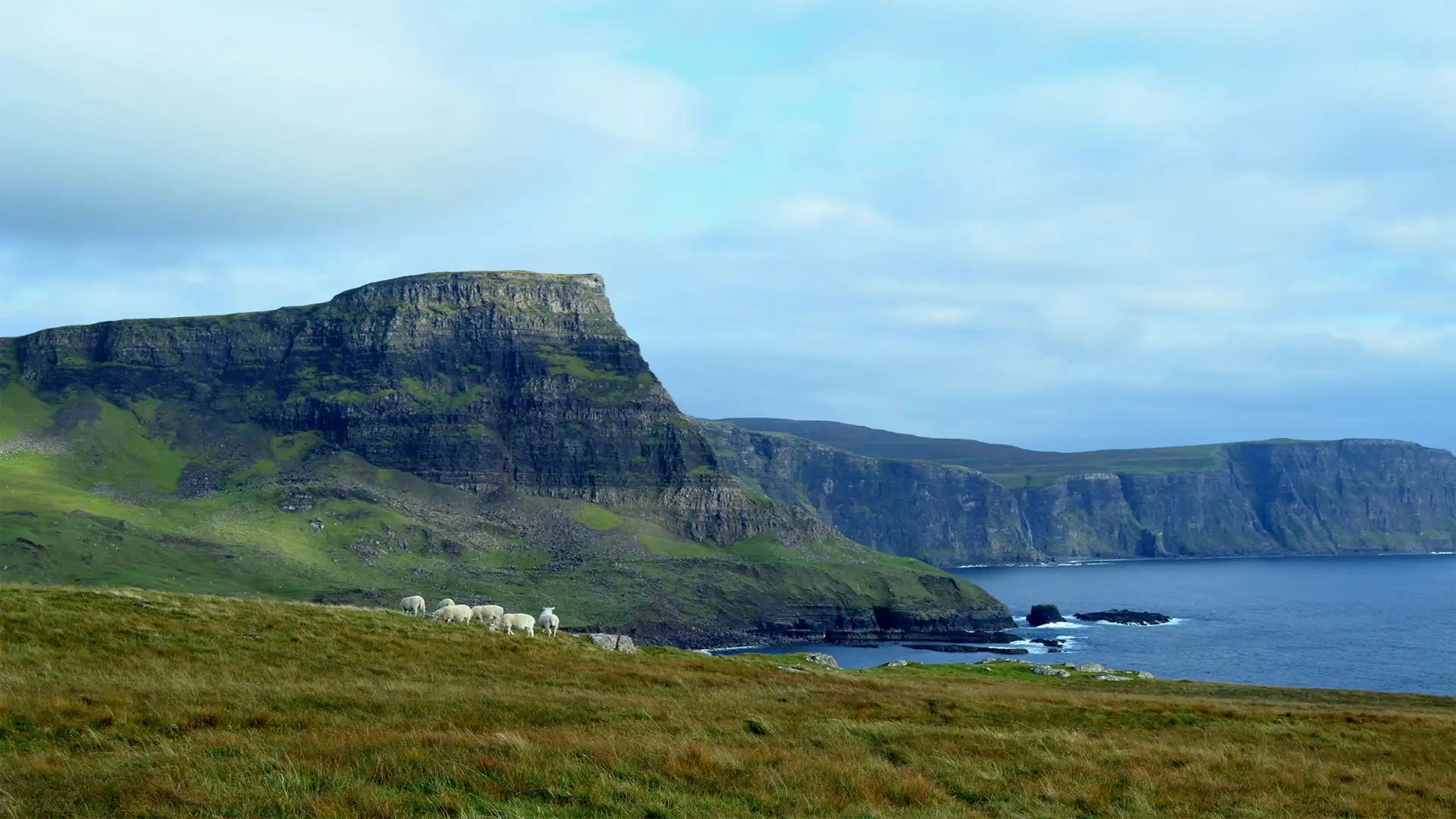 Baltimore, Irlande