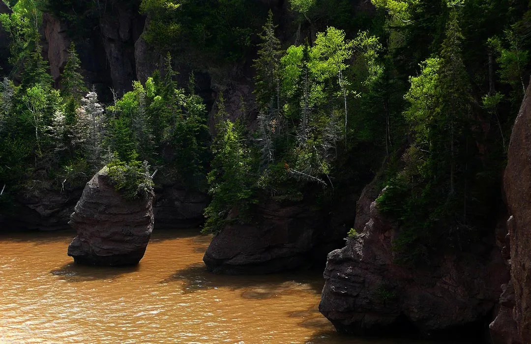 Saint john, Nb (Baie de fundy)