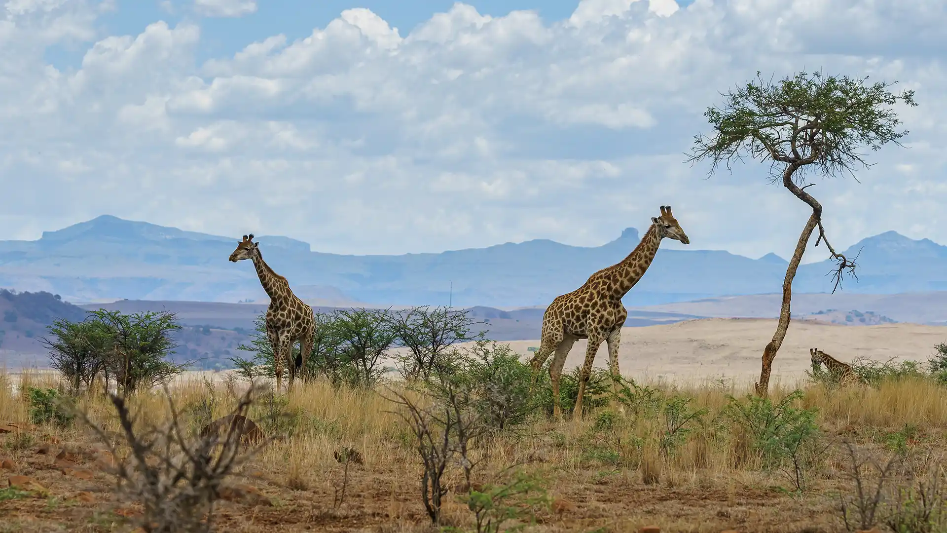 Diego Suarez, Madagascar
