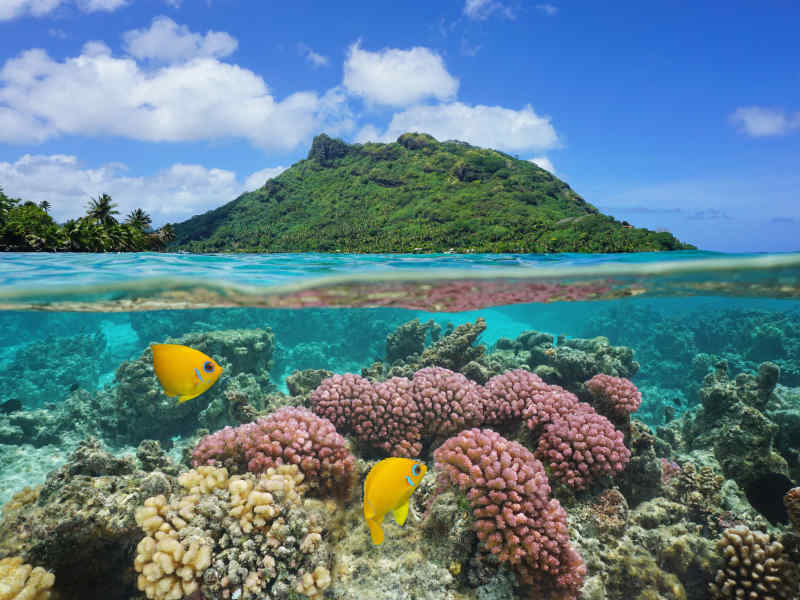 Huahine, Polynésie