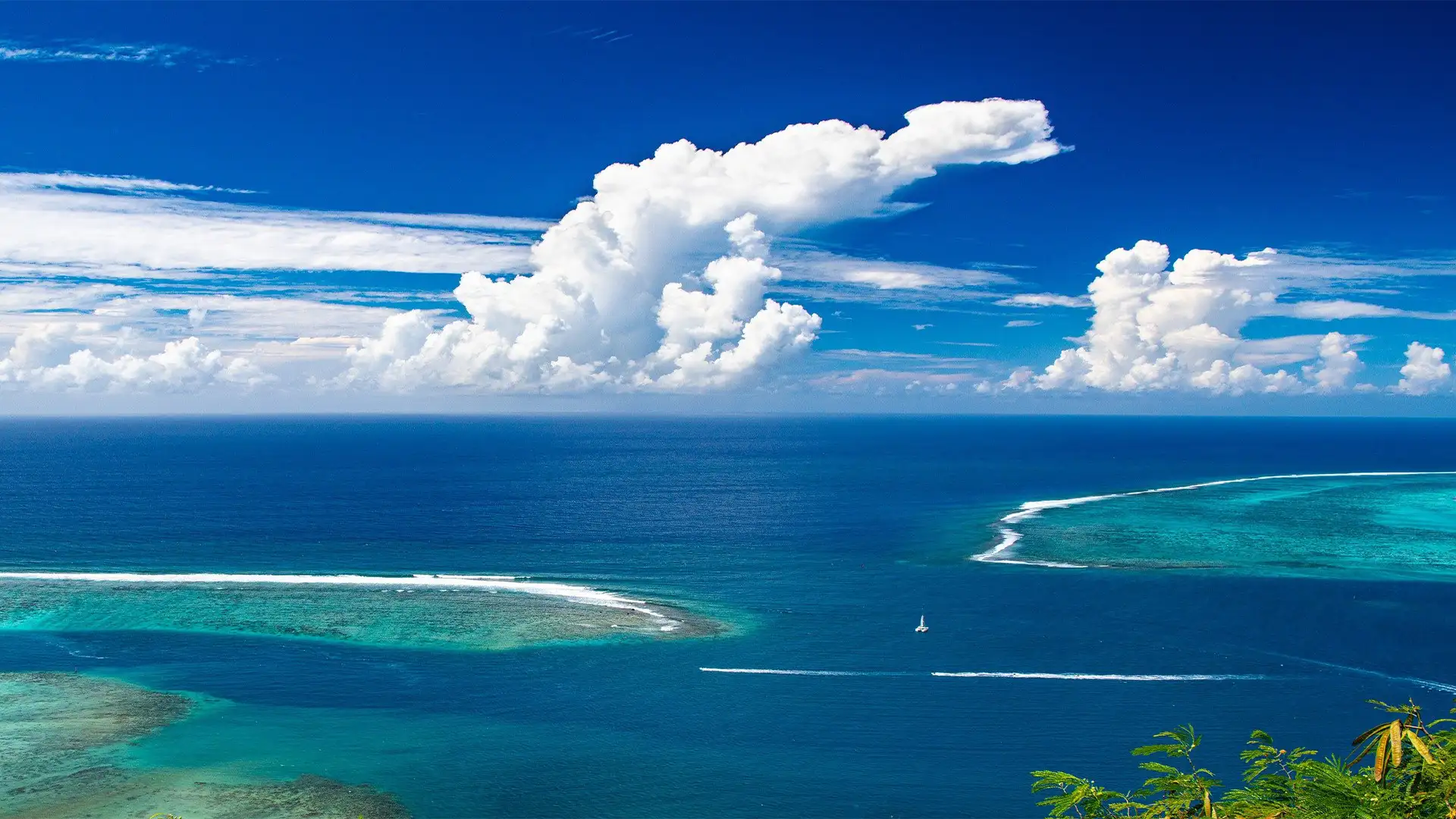 Bahia de Opunohu, Moorea