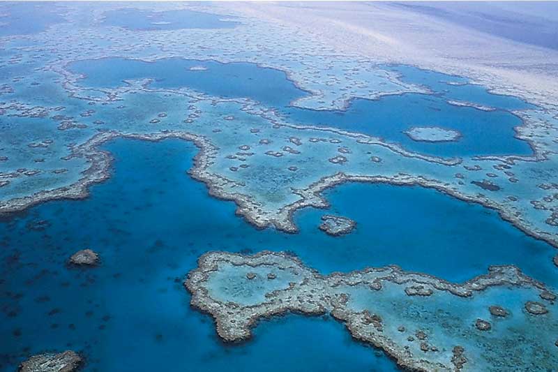 Grande Barrière de corail, Australie