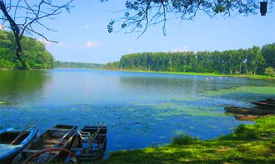 croisières en Tisza