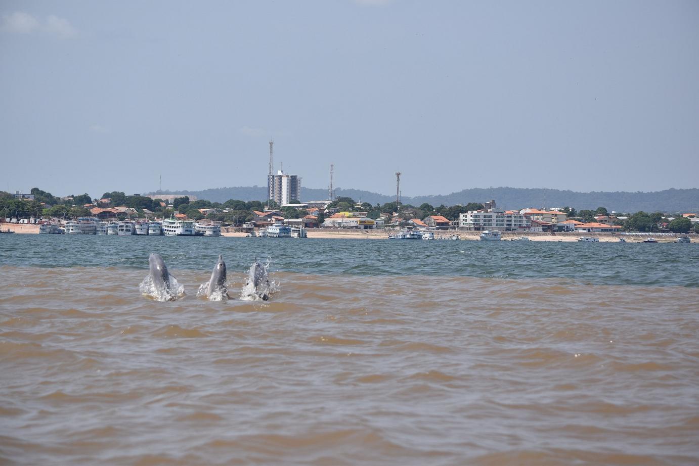 Santarem (fleuve Amazone), Brésil